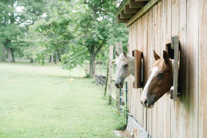 The View at Anderson Farm